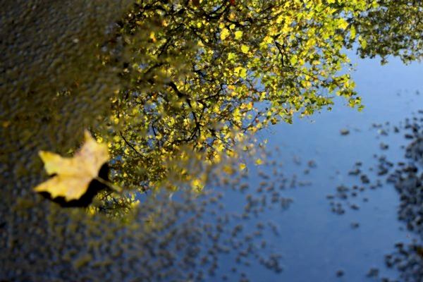 katherine-mccormack-r930kqfOEMY-unsplash